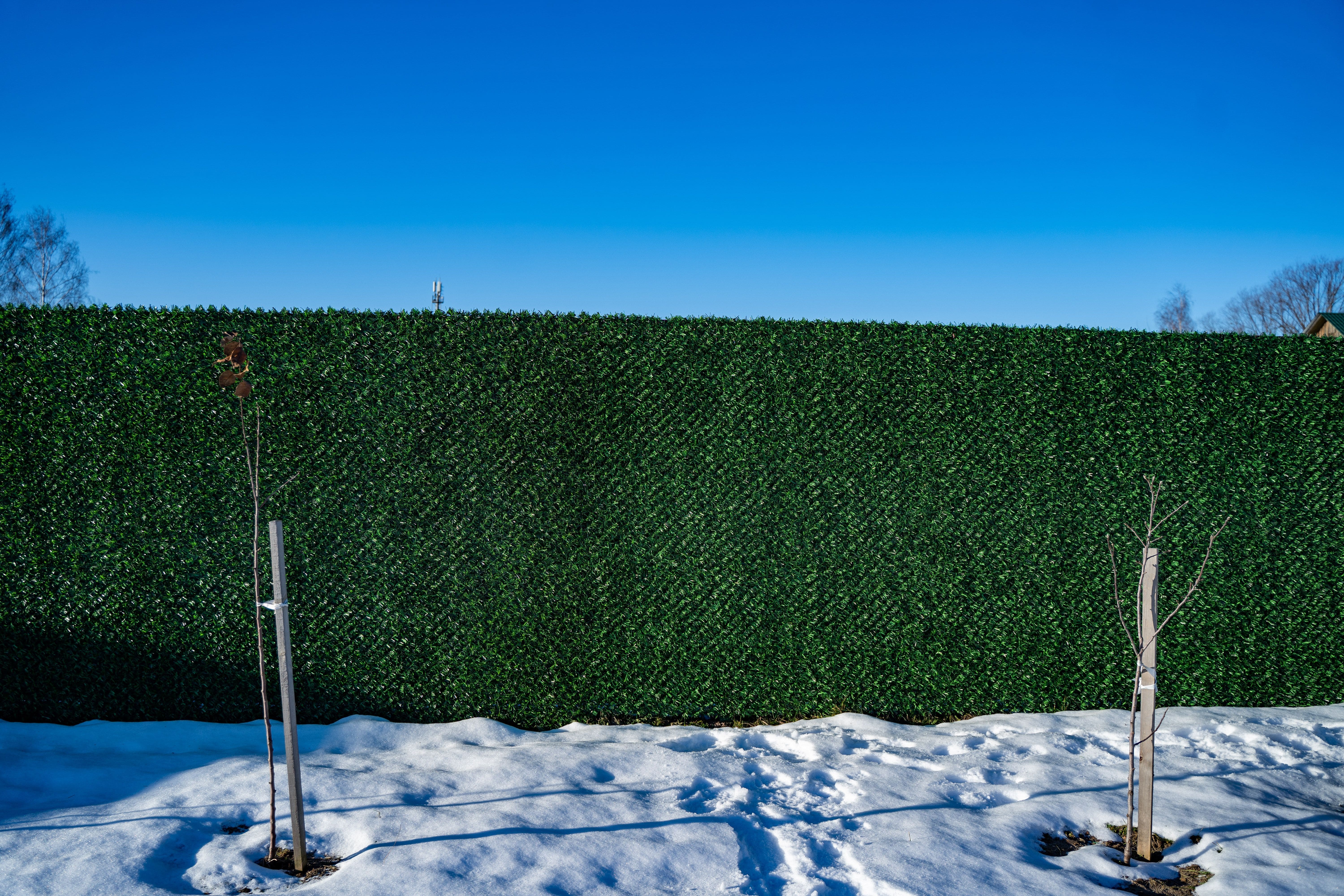 Вечнозеленый забор Grass Fence рулон 2м фото 8 в Бежецке